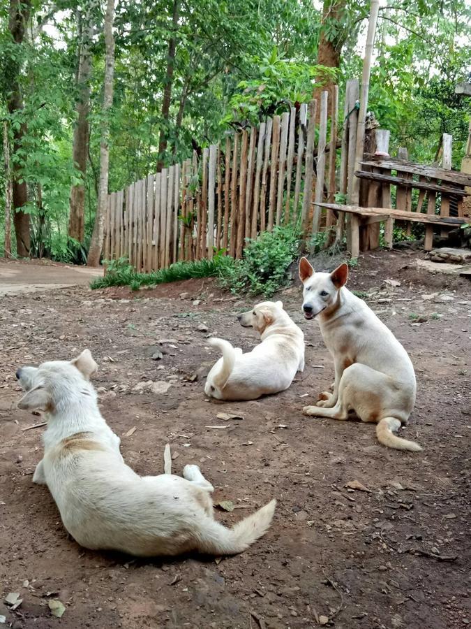 Cave Lodge Pang Mapha Zewnętrze zdjęcie